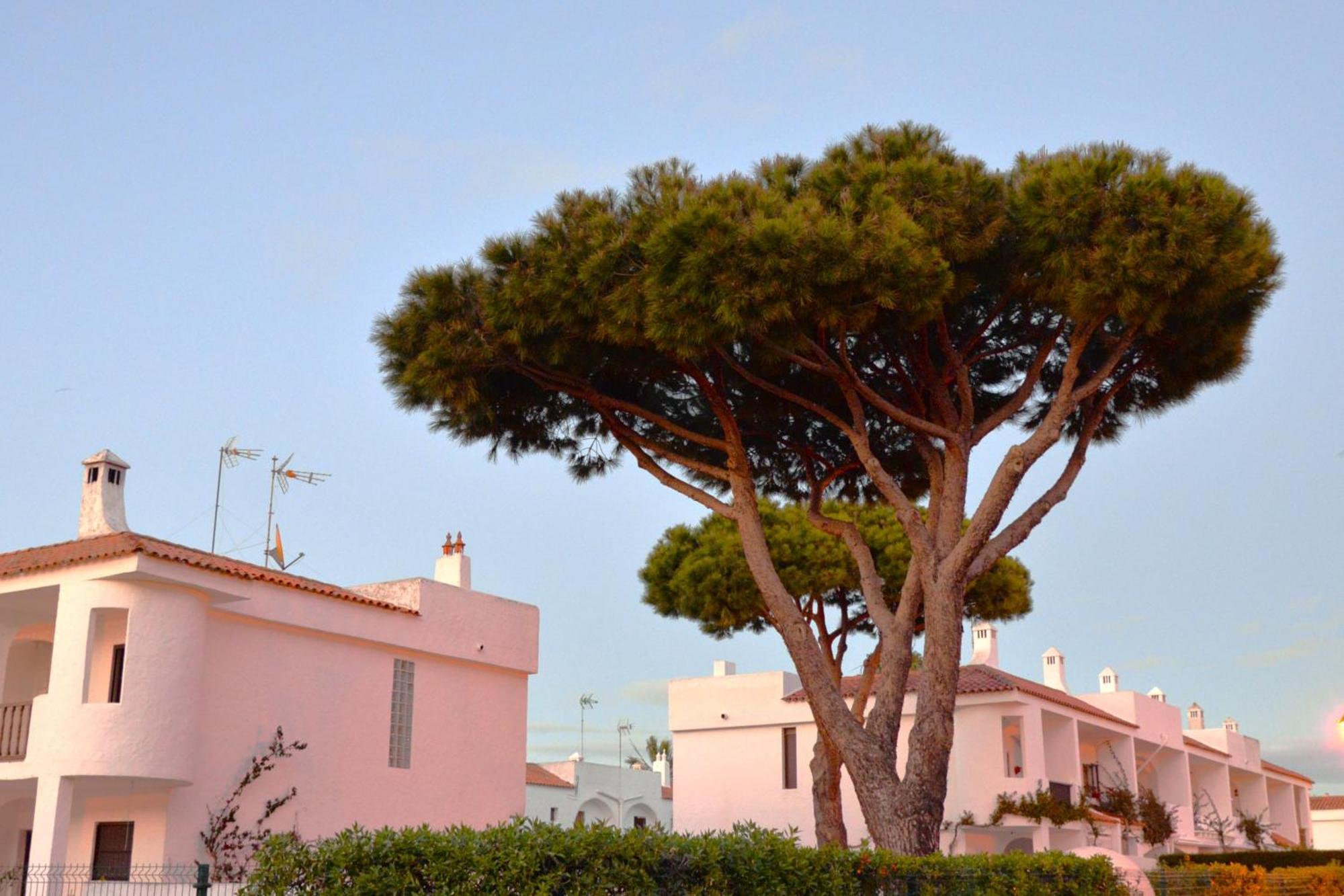 Casa Lea Villa Islantilla Exteriör bild